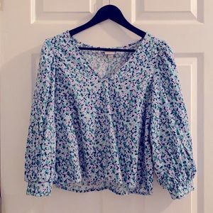 Small pouf sleeve blouse